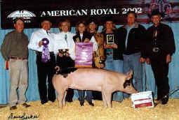 Am. Royal Sale picture.jpg (70896 bytes)