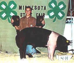 ChampioncrossbredatMinnesota.jpg (62544 bytes)
