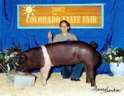 champhampcoloradostatefair.jpg (52691 bytes)