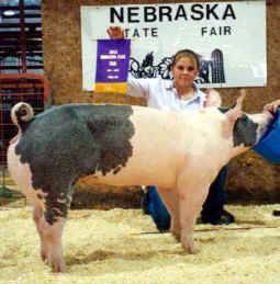 nebraskastatefairopenchamp1.jpg (60661 bytes)