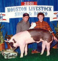 texaspig.jpg (79134 bytes)